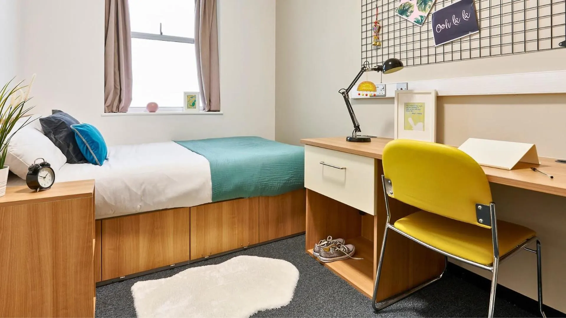 For Students Only Host Northernhay House Эксетер Хостел