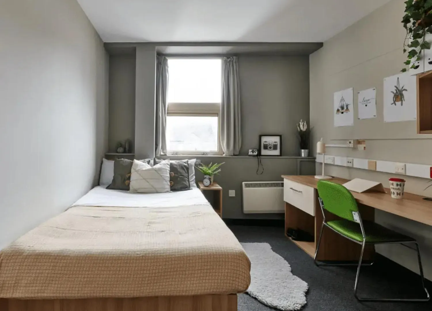 For Students Only Host Northernhay House Эксетер